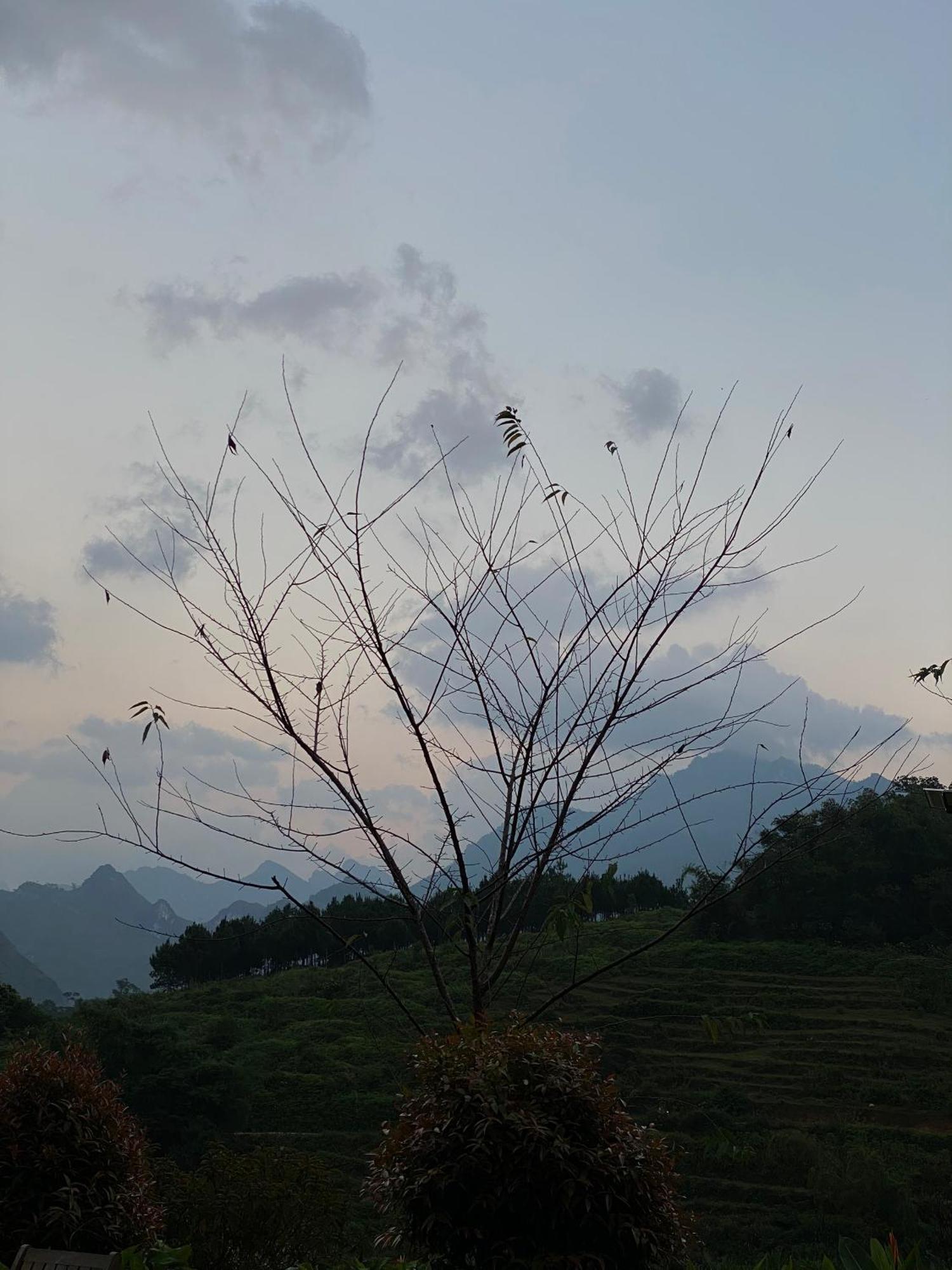 To Day Du Gia Village Làng Cac Exteriör bild