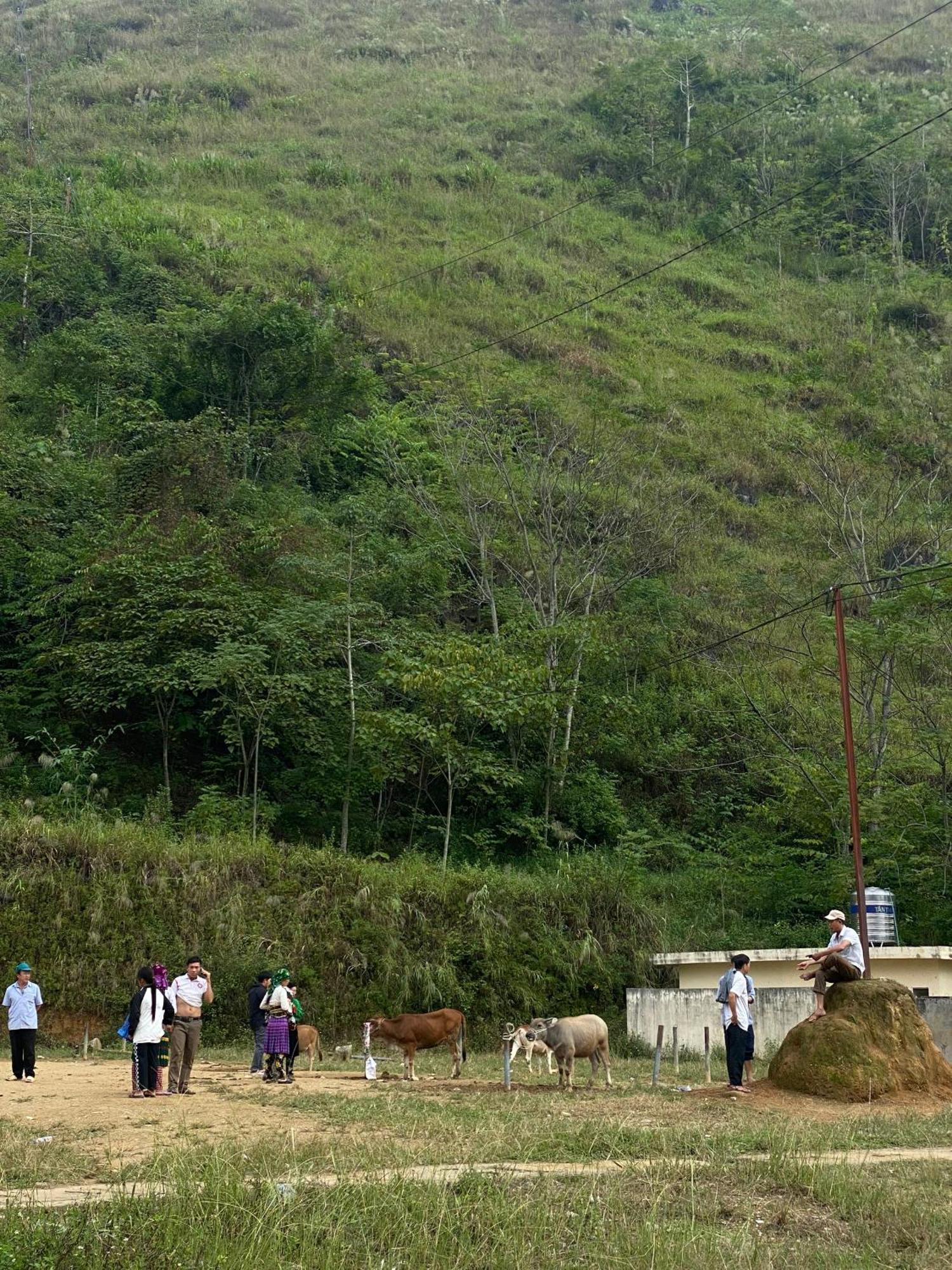 To Day Du Gia Village Làng Cac Exteriör bild